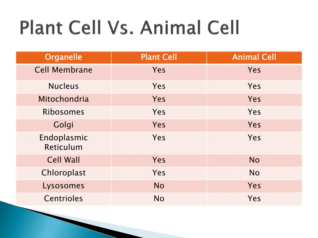 organelle cell membrane