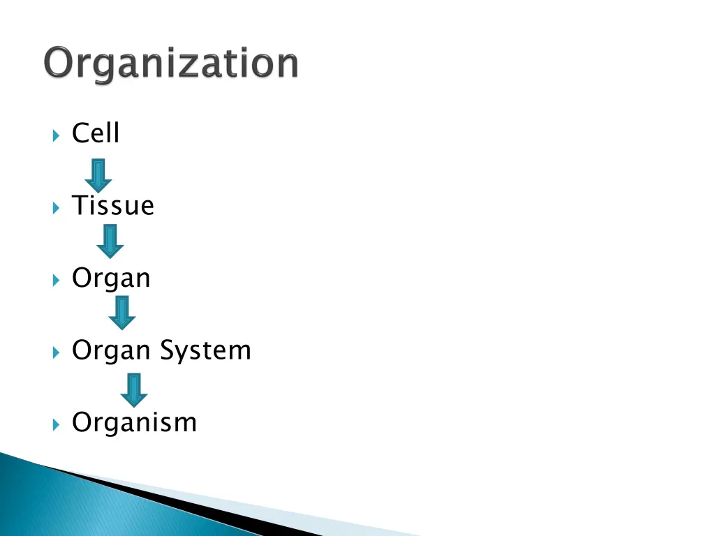 slide4