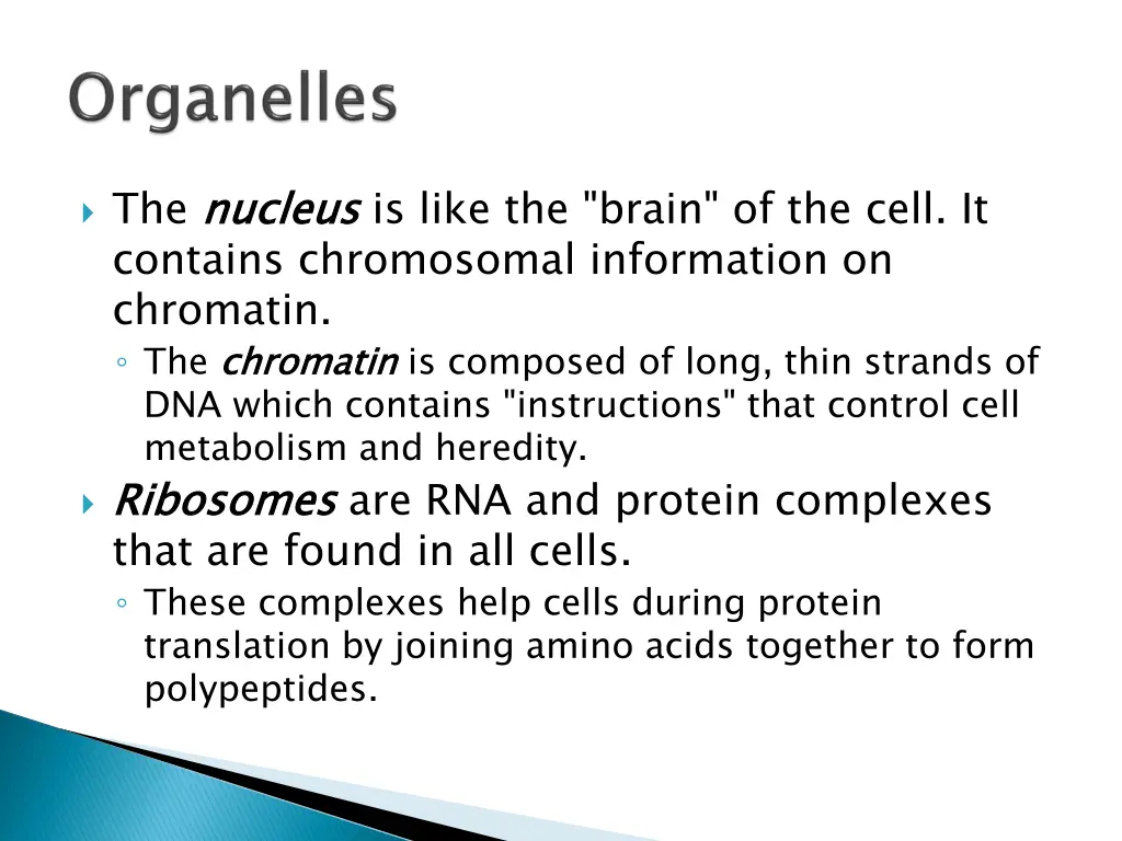 the nucleus contains chromosomal information
