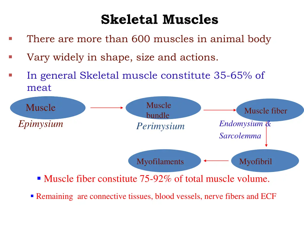 skeletal muscles