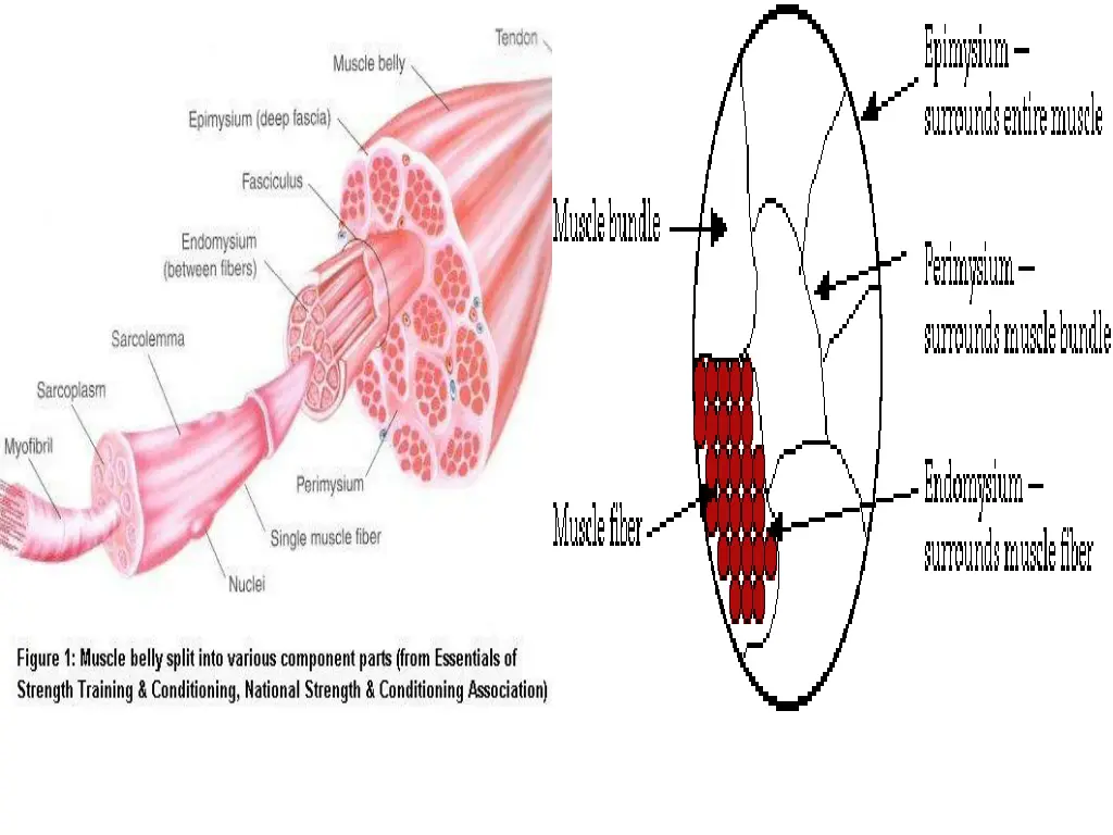 slide14