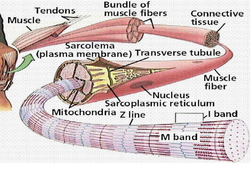 slide15