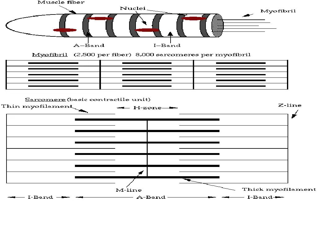 slide18