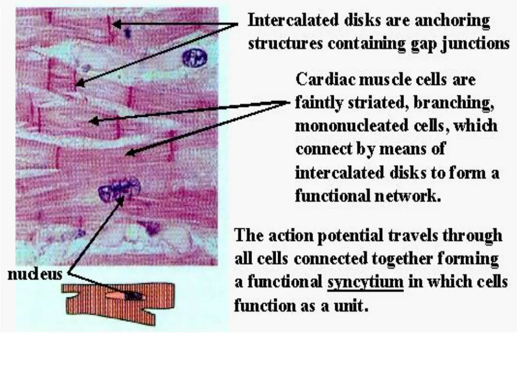 slide23