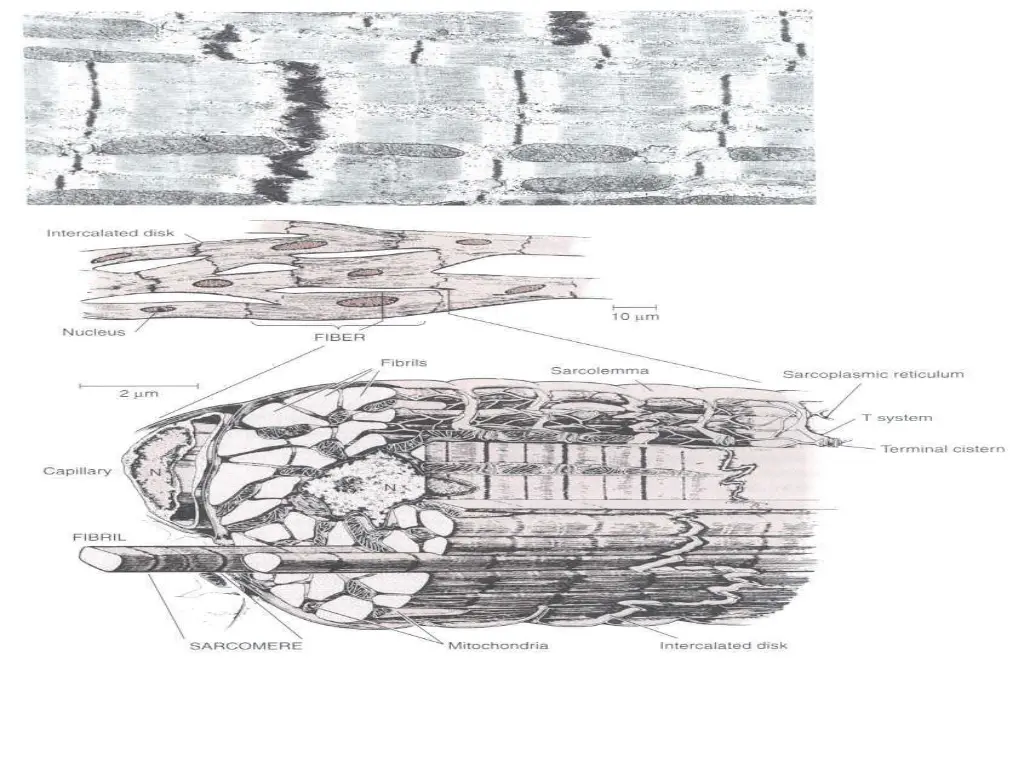 slide24