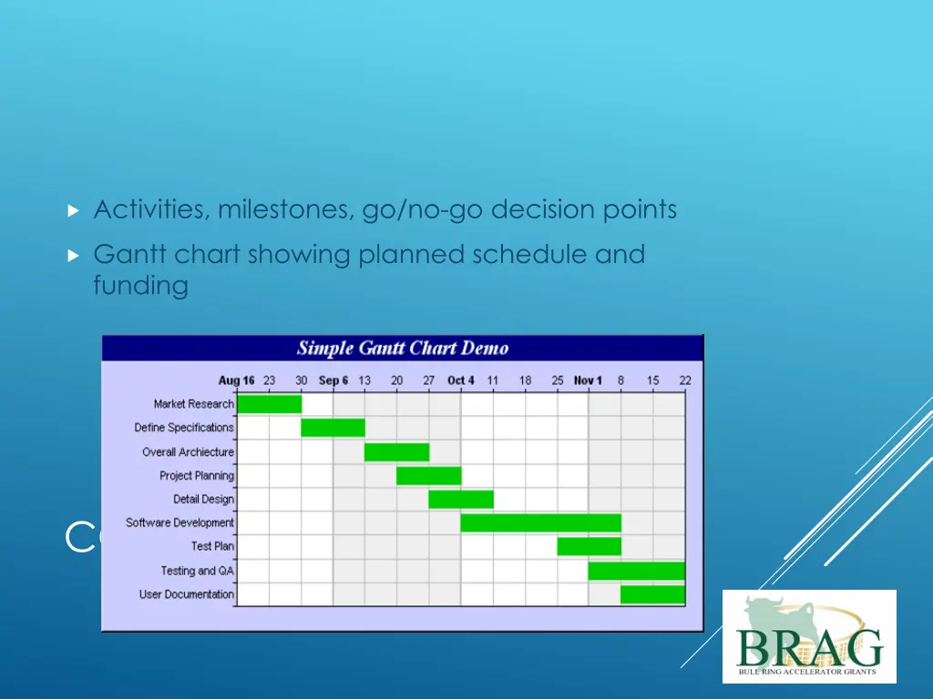 activities milestones go no go decision points
