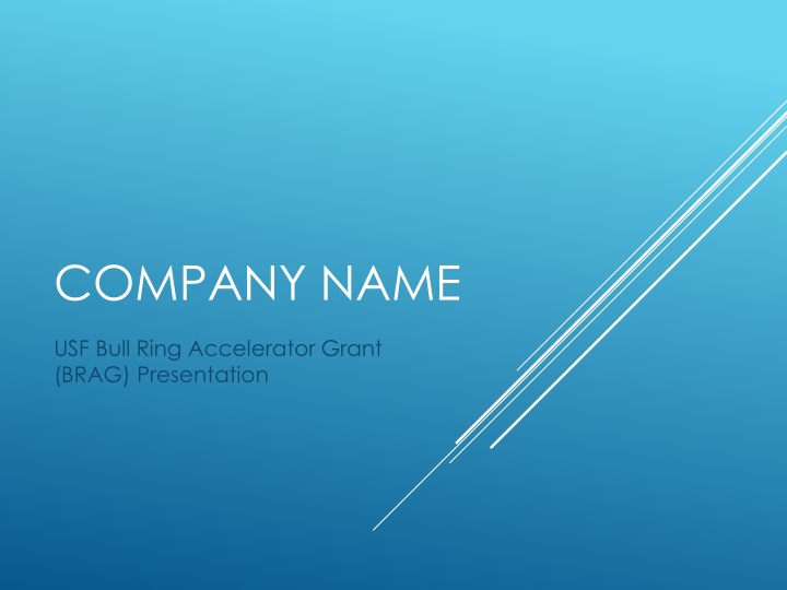 company name