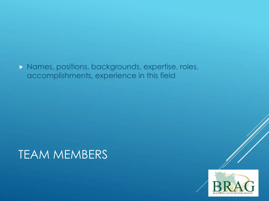 names positions backgrounds expertise roles