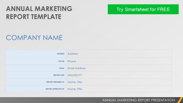 annual marketing report template
