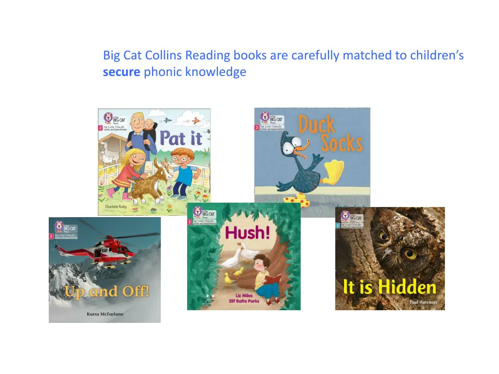 big cat collins reading books are carefully