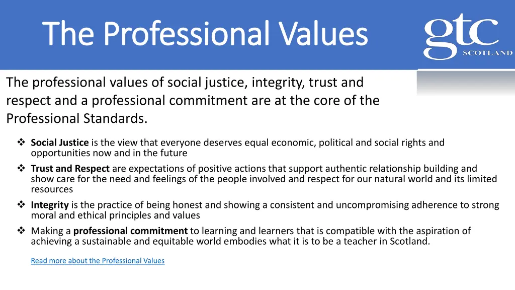the professional values the professional values