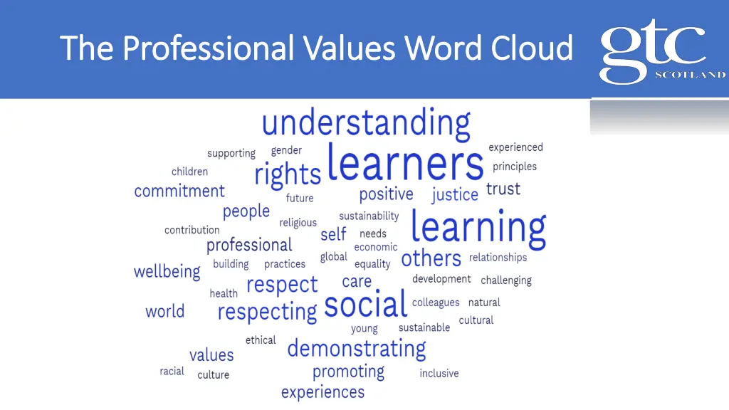 the professional values word cloud