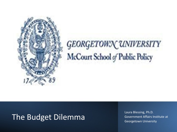 laura blessing ph d government affairs institute