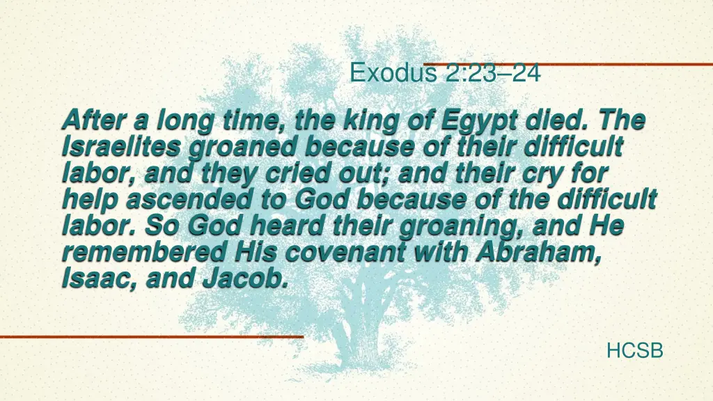 exodus 2 23 24