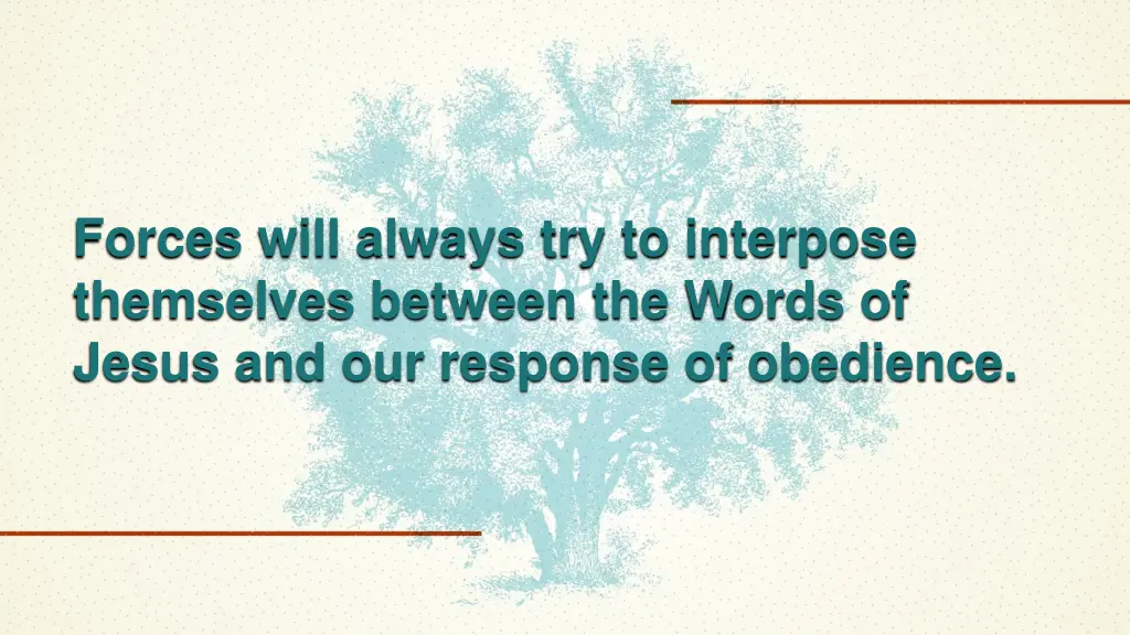 forces will always try to interpose themselves