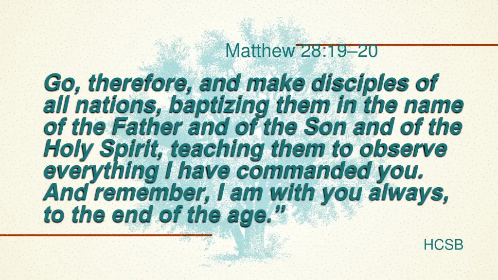 matthew 28 19 20