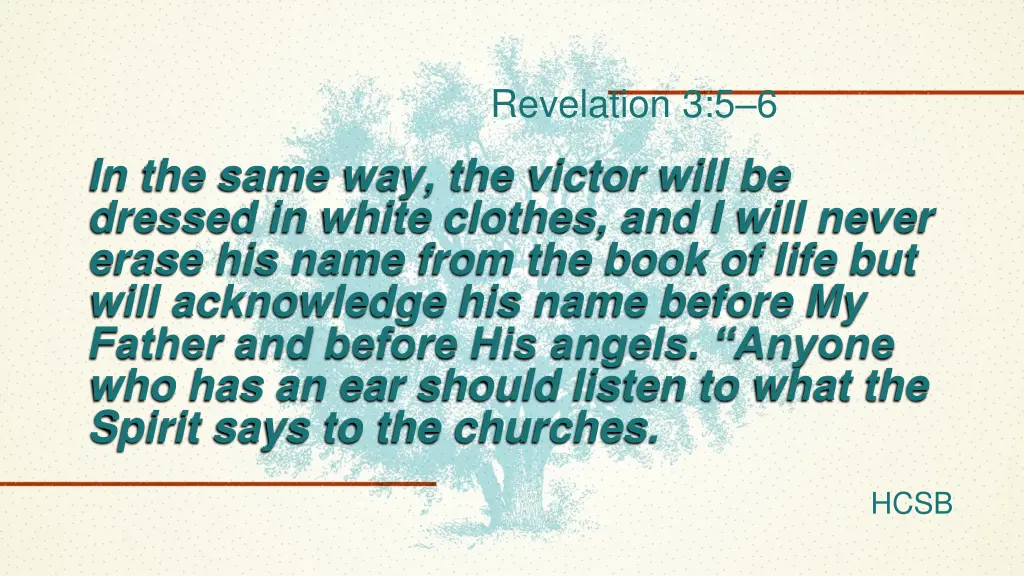 revelation 3 5 6