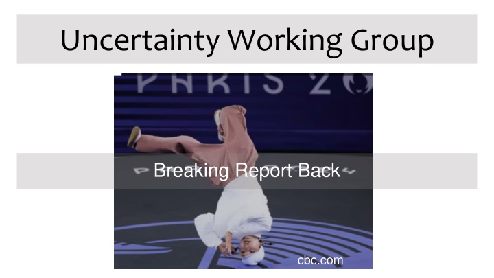 uncertainty working group