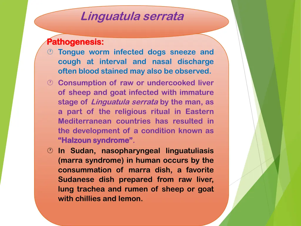 linguatula serrata 6