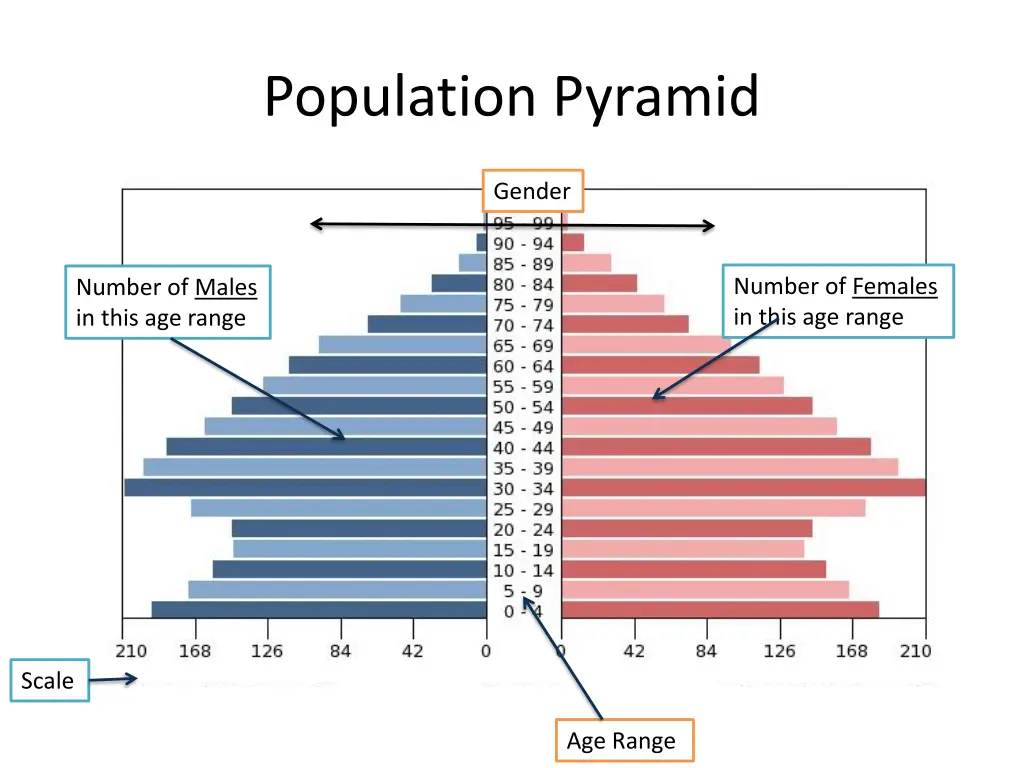 population pyramid