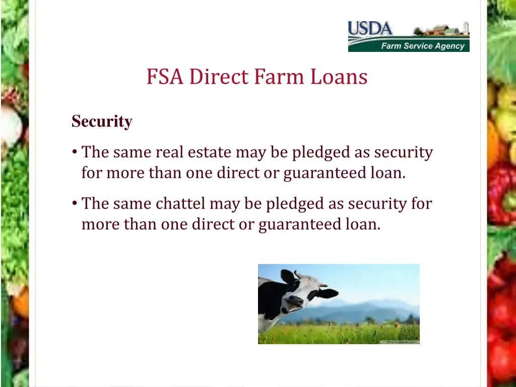 fsa direct farm loans 10