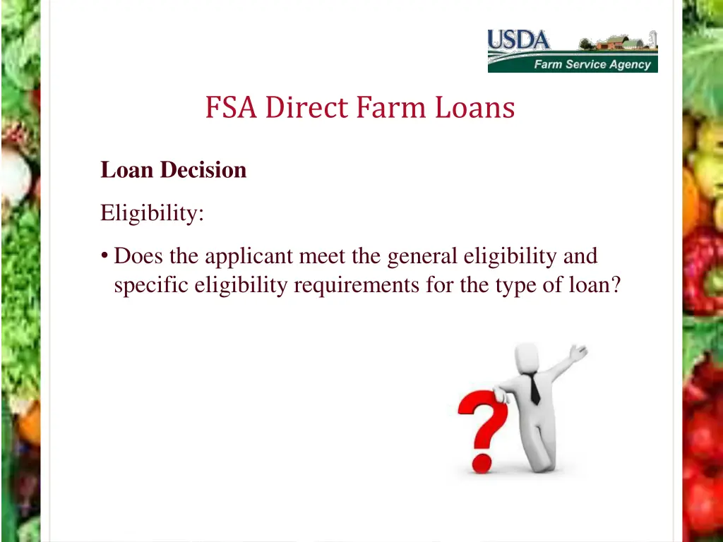 fsa direct farm loans 13
