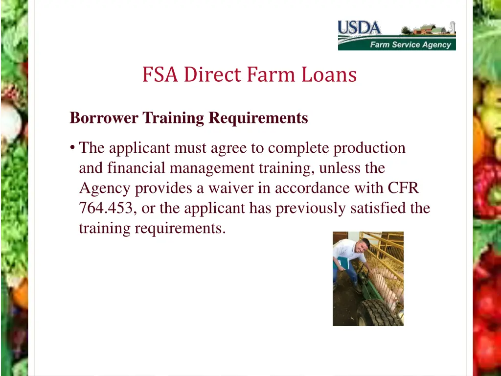 fsa direct farm loans 16