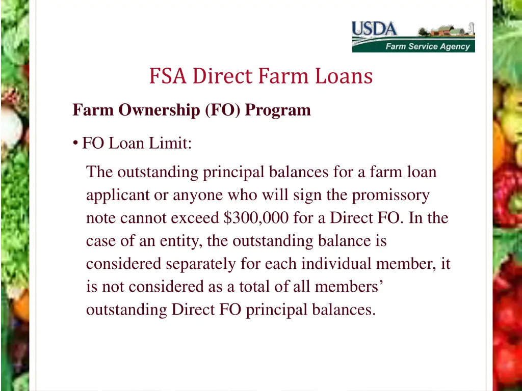 fsa direct farm loans 3