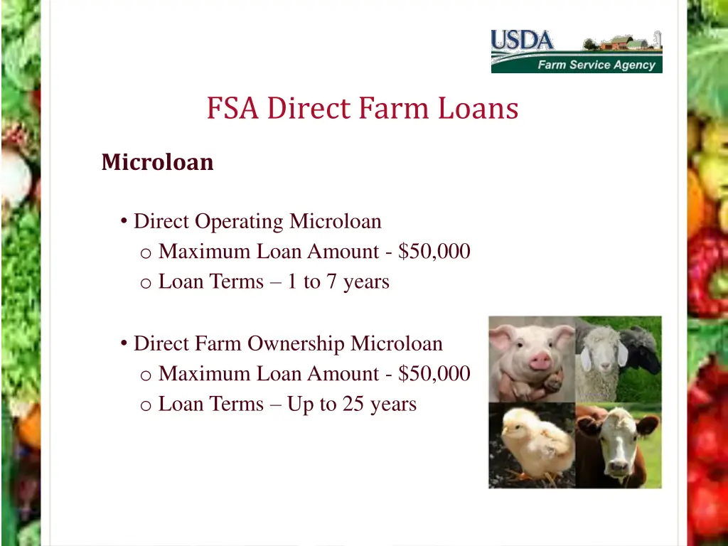 fsa direct farm loans 7