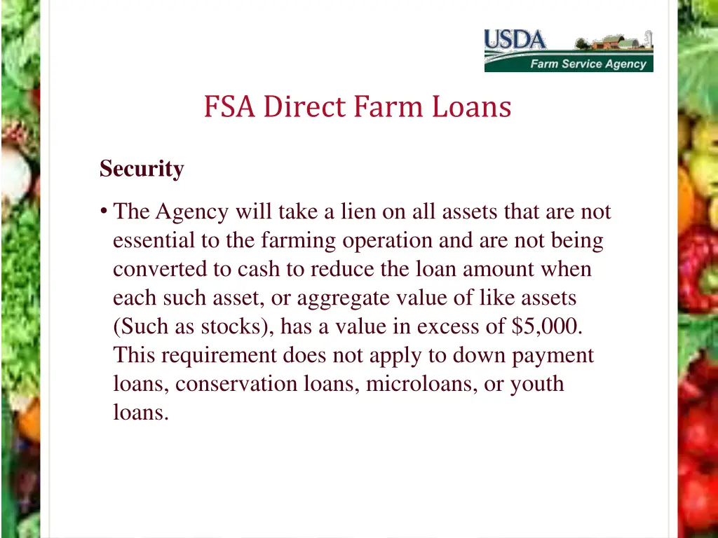 fsa direct farm loans 9