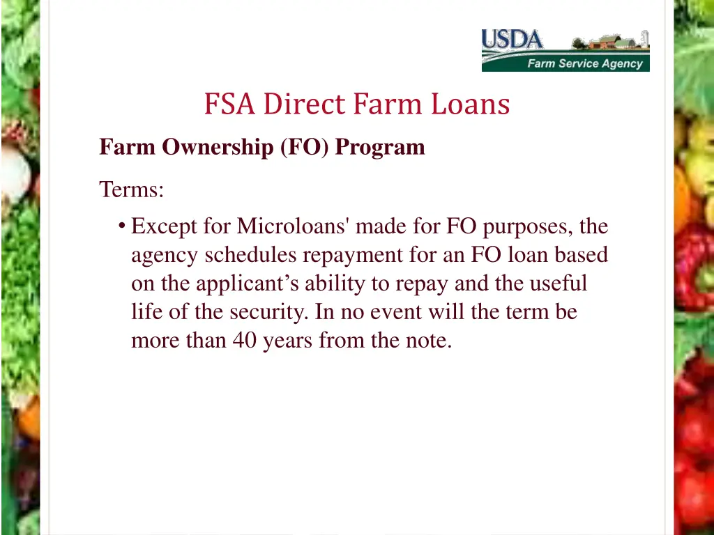 fsa direct farm loans farm ownership fo program 2