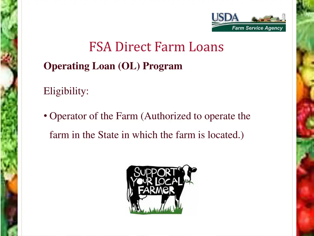 fsa direct farm loans operating loan ol program 6