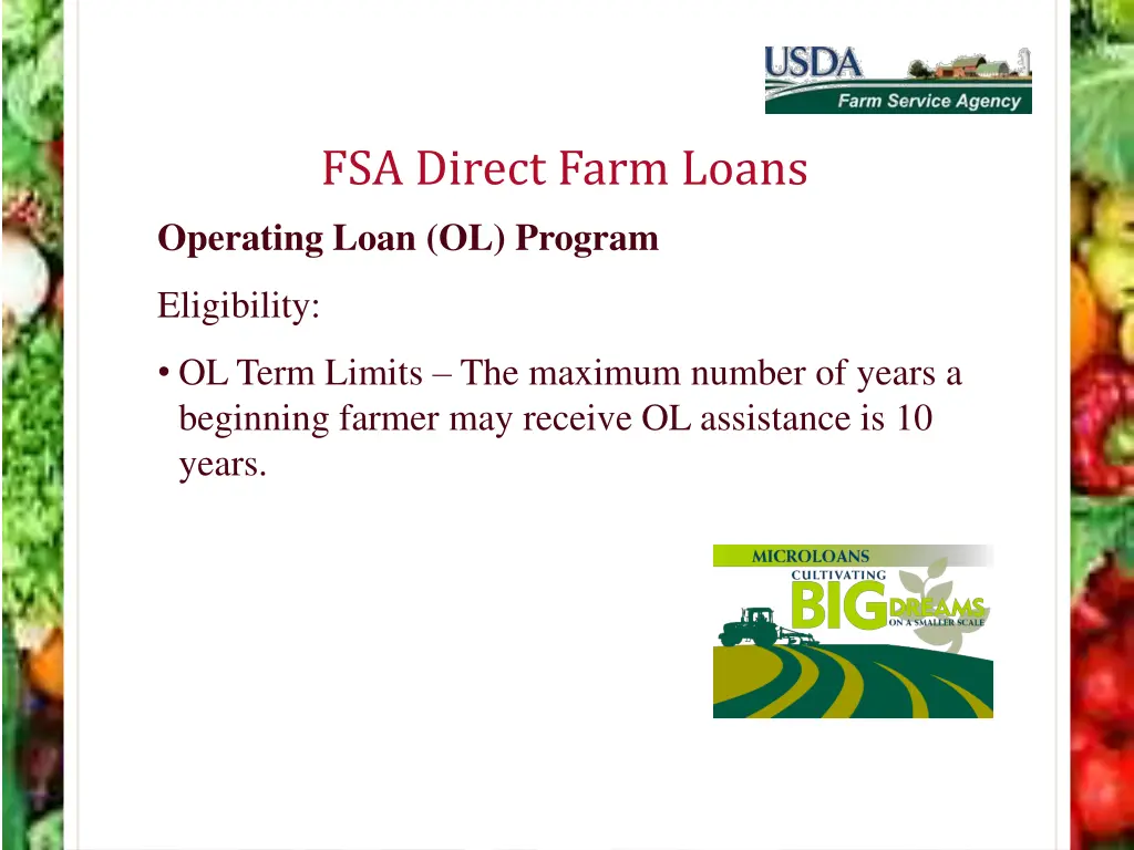 fsa direct farm loans operating loan ol program 8