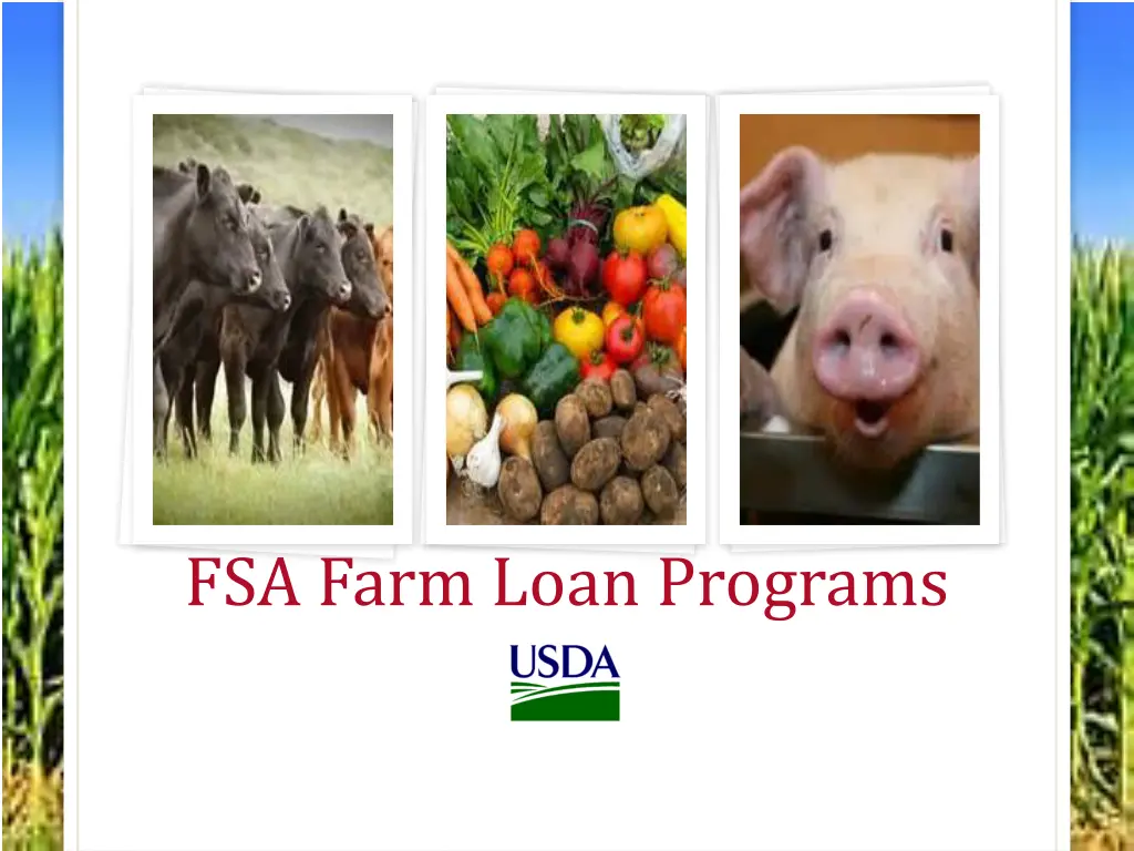 fsa farm loan programs 1