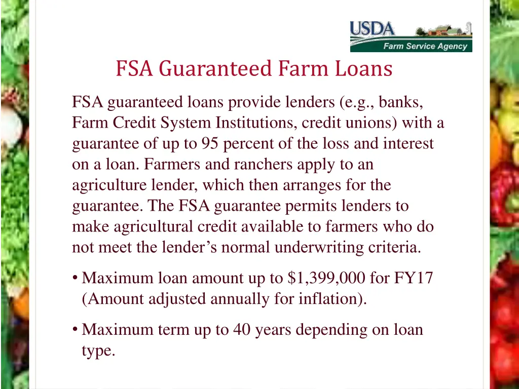 fsa guaranteed farm loans