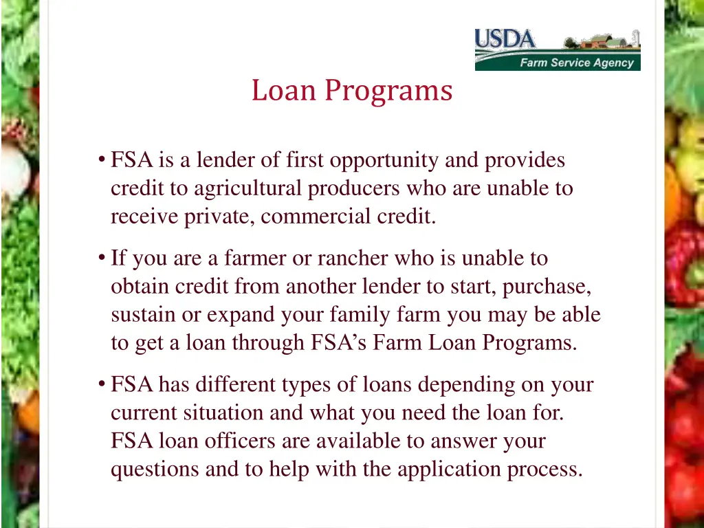 loan programs