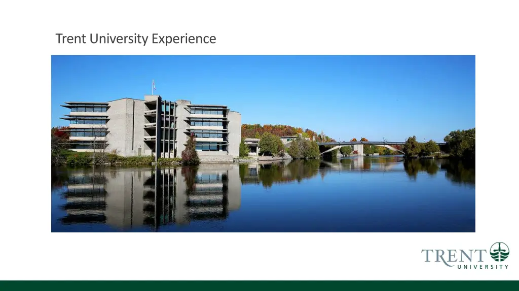 trent university experience