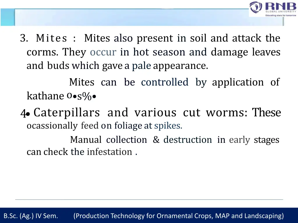 3 mites mites also present in soil and attack