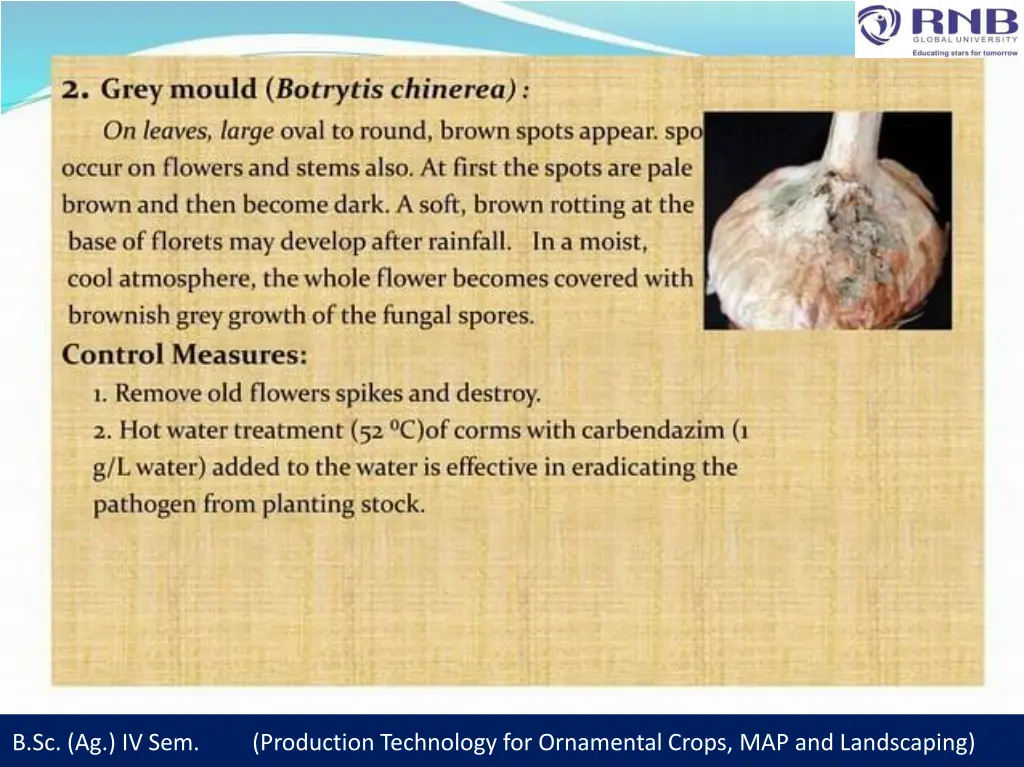b sc ag iv sem production technology 1