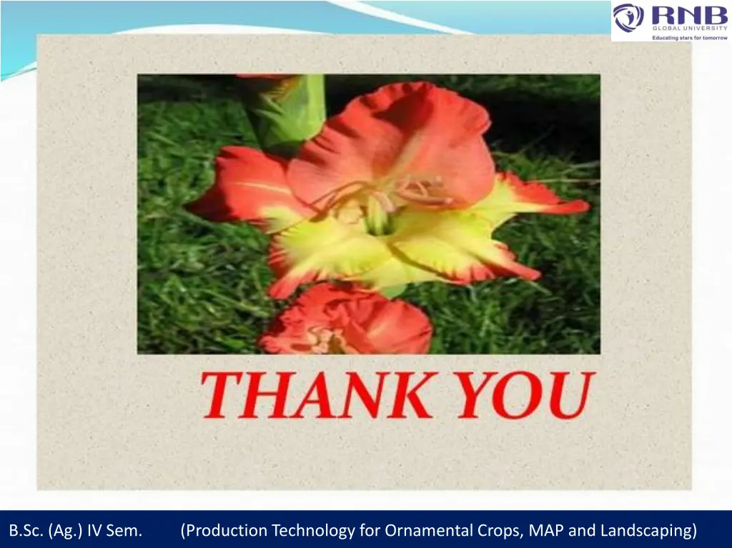b sc ag iv sem production technology 2