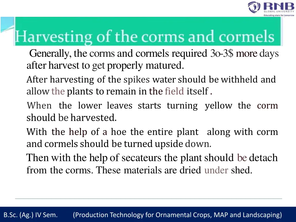 generally the corms and cormels required