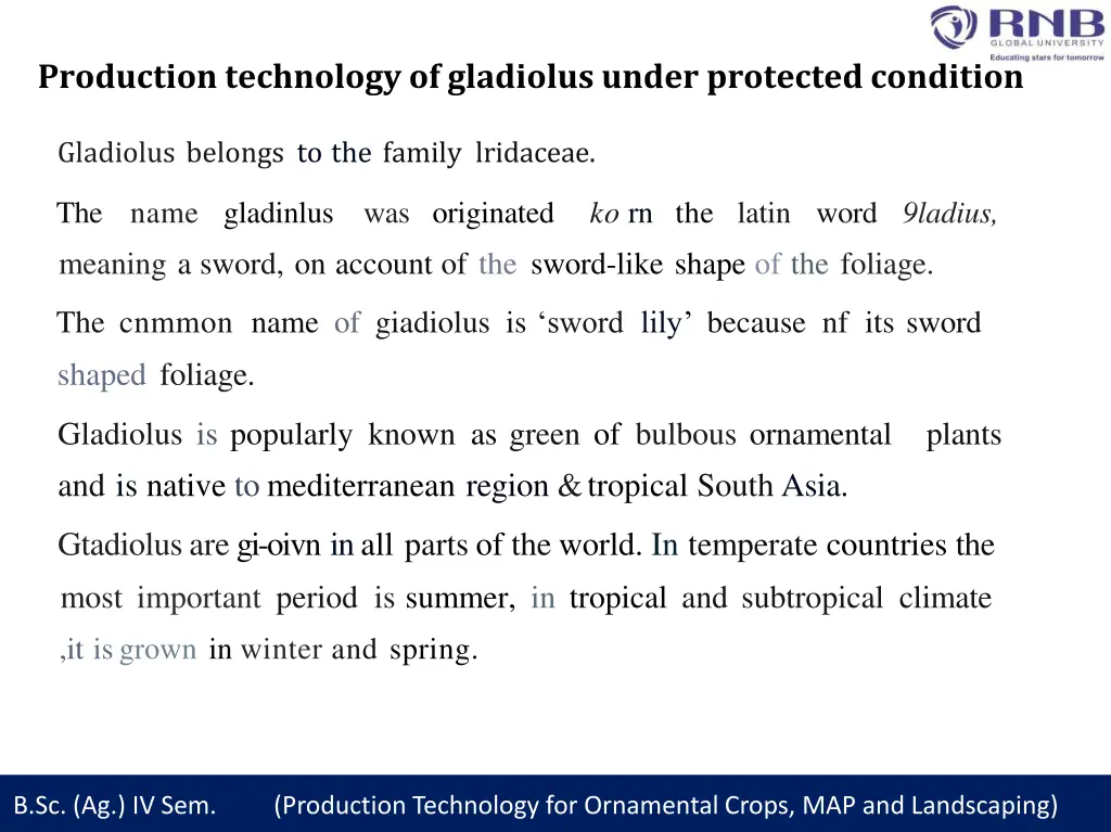 production technology of gladiolus under