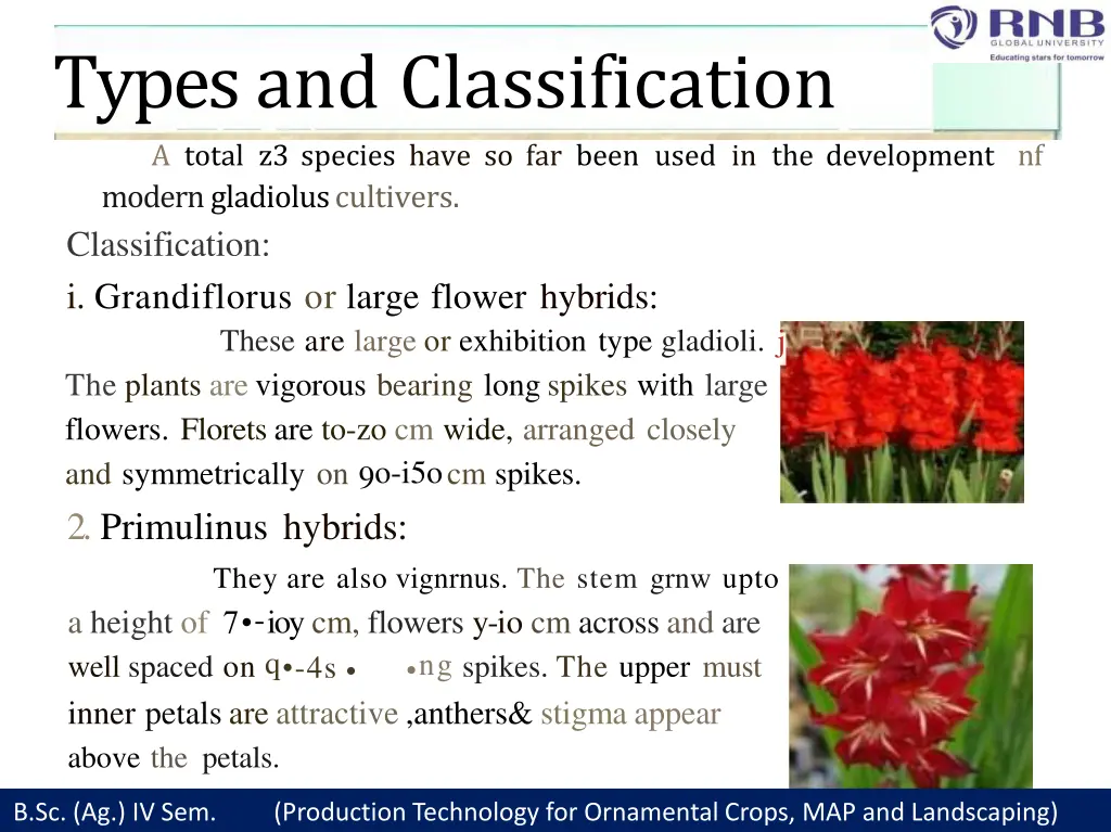types and classification a total z3 species have