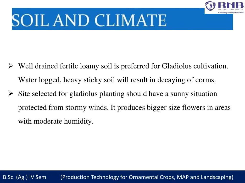 well drained fertile loamy soil is preferred