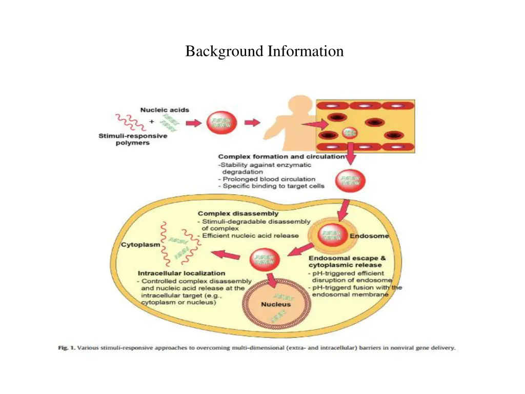 background information 1