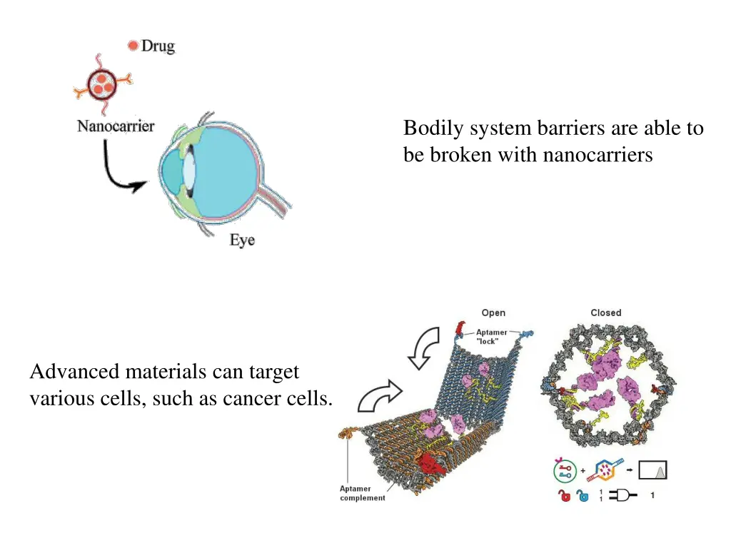 bodily system barriers are able to be broken with