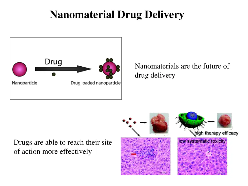 nanomaterial drug delivery