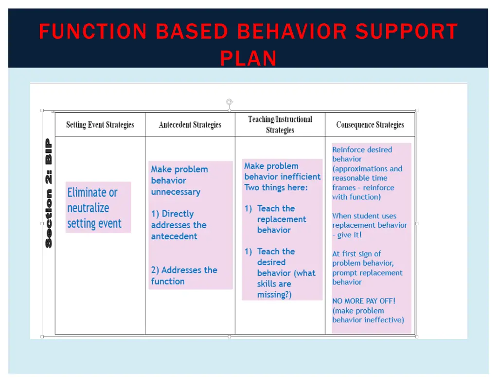 function based behavior support plan