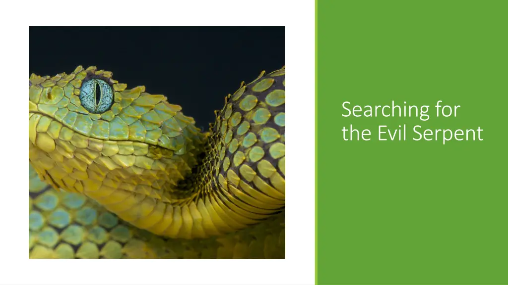 searching for the evil serpent