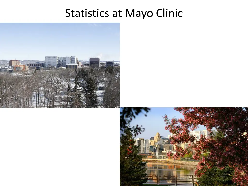 statistics at mayo clinic 1